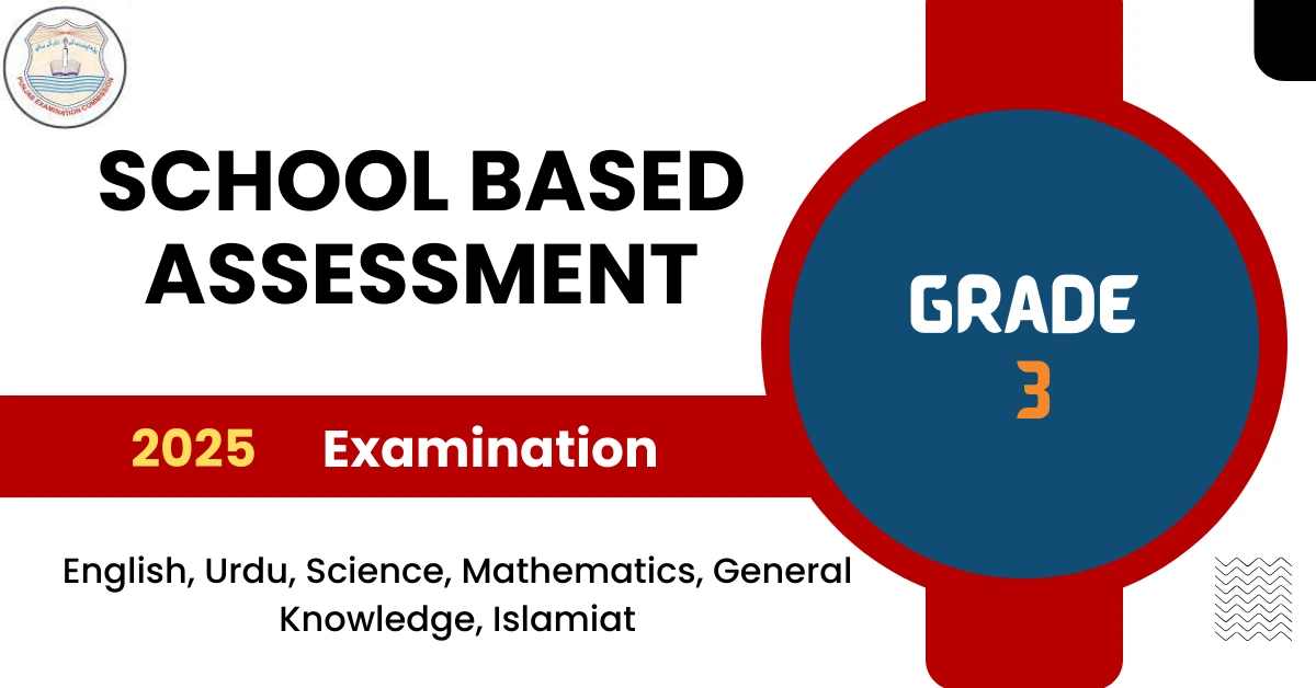 SBA Grade 3 Papers Download